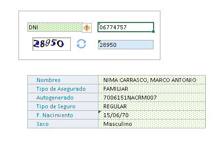 MACRO CONSULTA DE ESSALUD